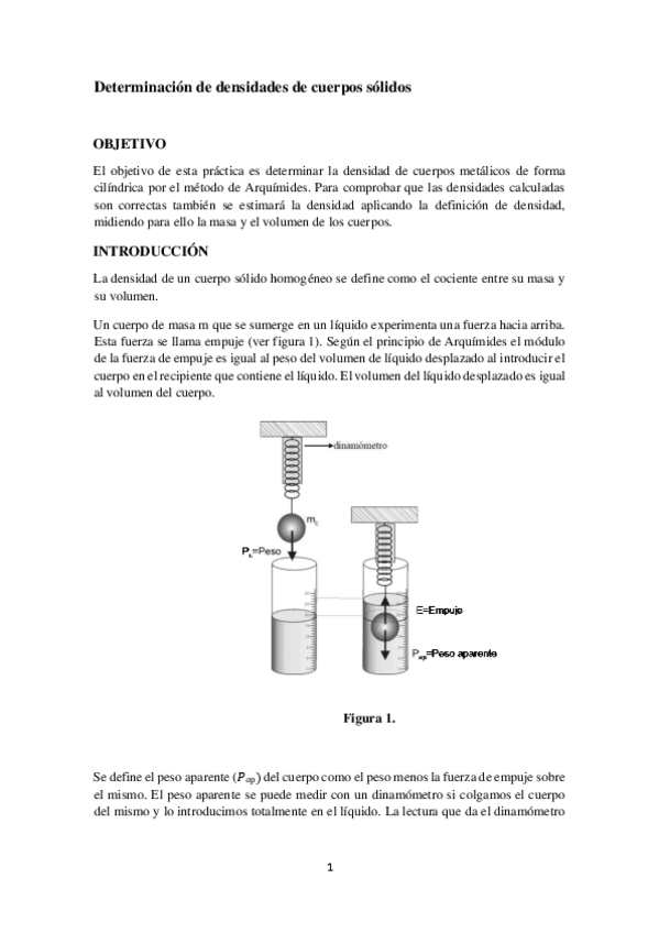 Miniatura del documento informe-densidad-.pdf