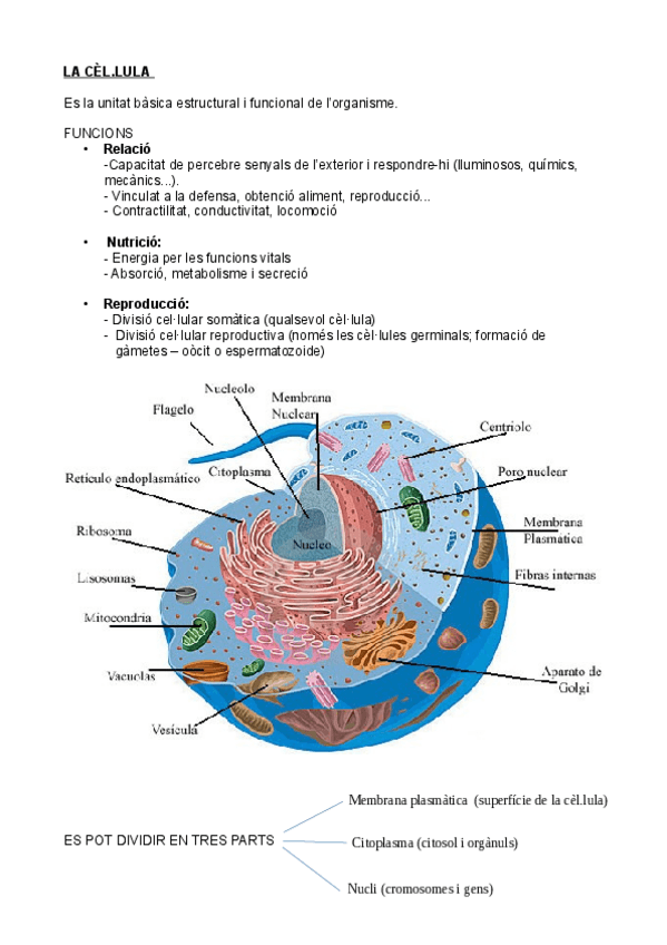 Miniatura del documento LA-CEL.pdf
