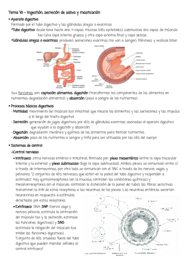 Miniatura del documento Resumenes-fisio-2o-parcial.pdf