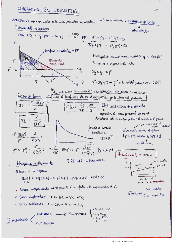 Miniatura del documento Orga.pdf