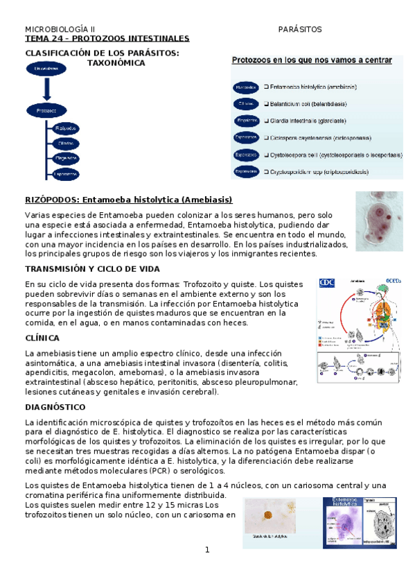 Miniatura del documento TEMA-24-MICRO.docx