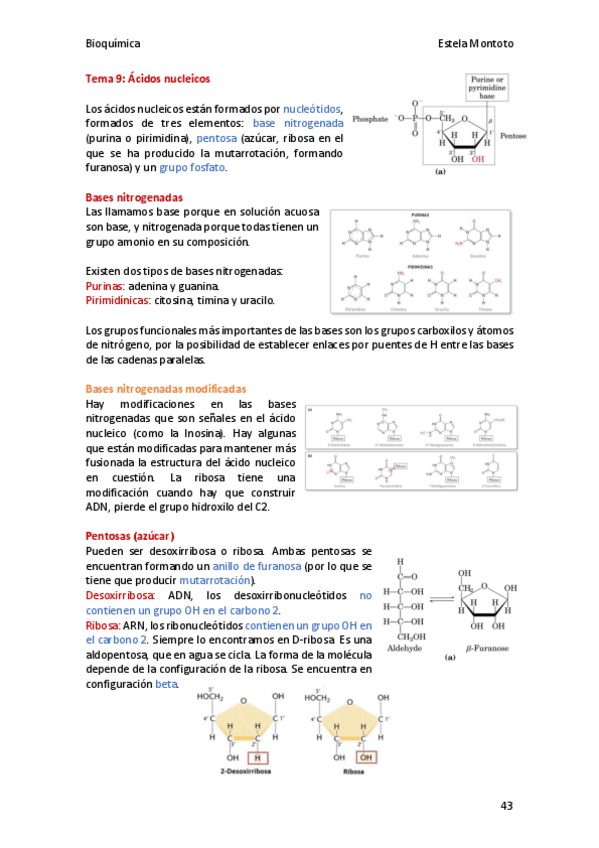 Miniatura del documento Bioquimica-tema-09-2020-21.pdf