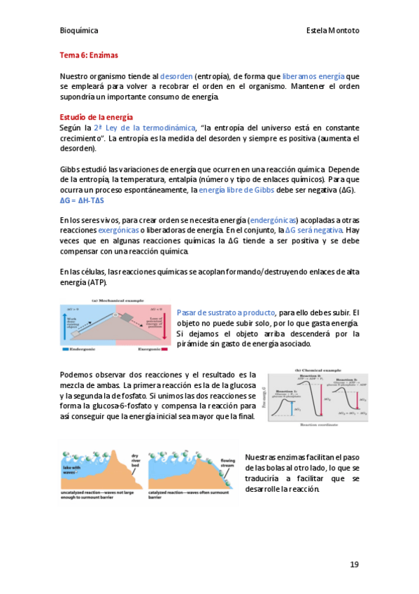 Miniatura del documento Bioquimica-tema-06-2020-21.pdf