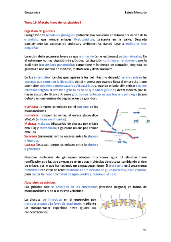 Miniatura del documento Bioquimica-tema-19-2020-21.pdf