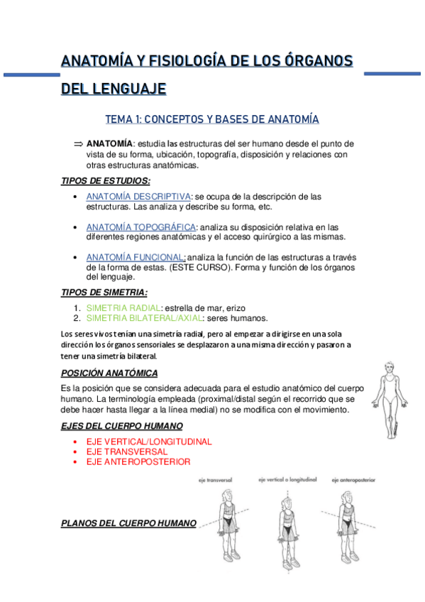 Miniatura del documento ANATOMIA-Y-FISIOLOGIA-DE-LOS-ORGANOS-DEL-LENGUAJE.pdf