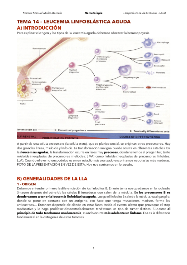 Miniatura del documento Tema-14.pdf