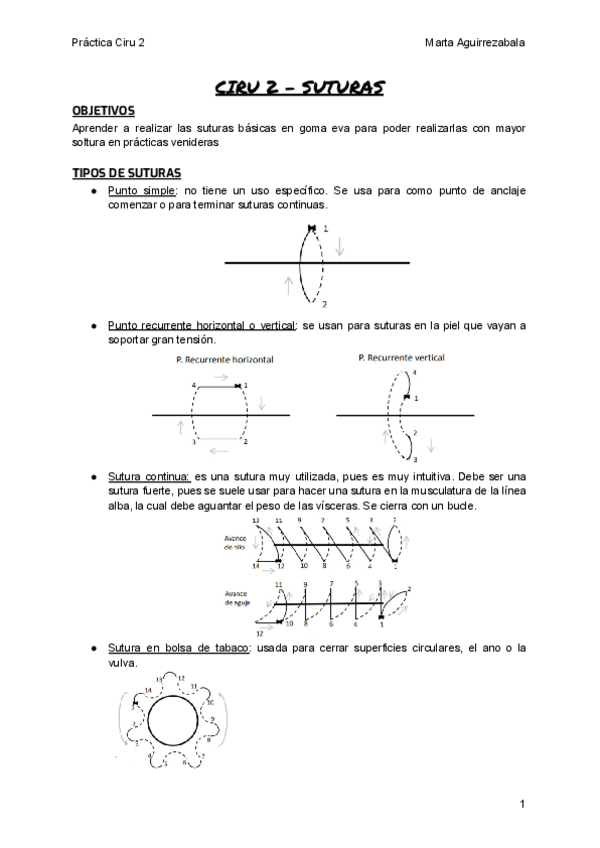 Miniatura del documento practica-ciru-2.pdf