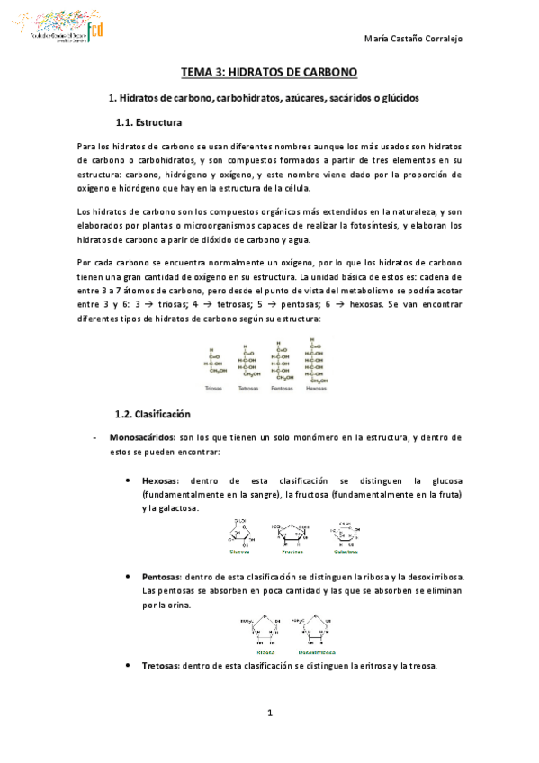 Miniatura del documento TEMA-3-NUTRICION-Y-DEPORTE.pdf