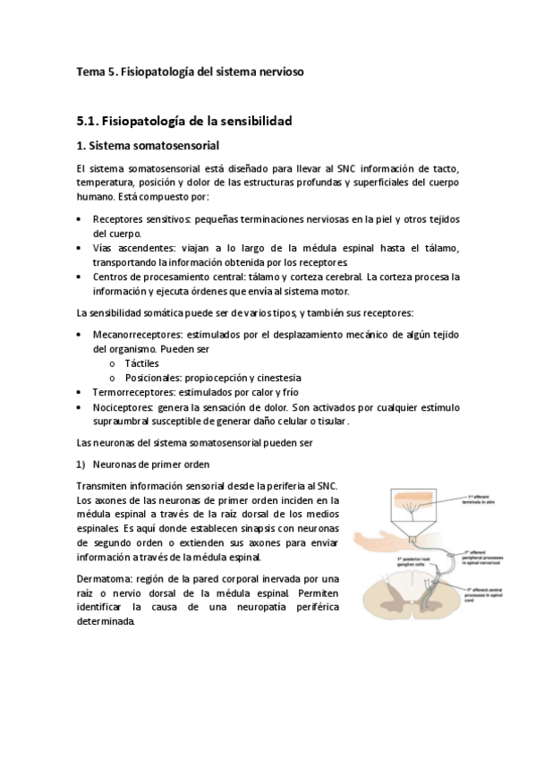 Miniatura del documento tema-5.pdf