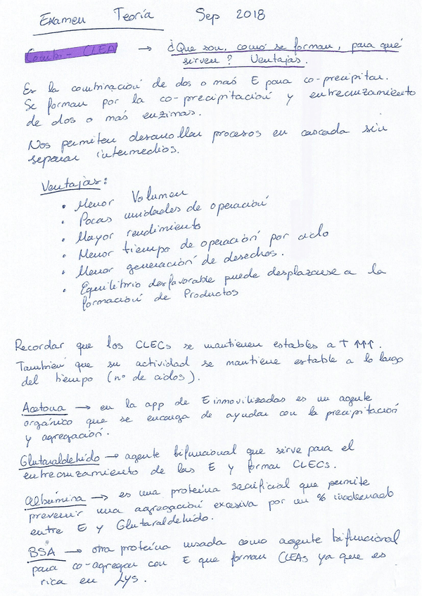 Miniatura del documento 17.jpg