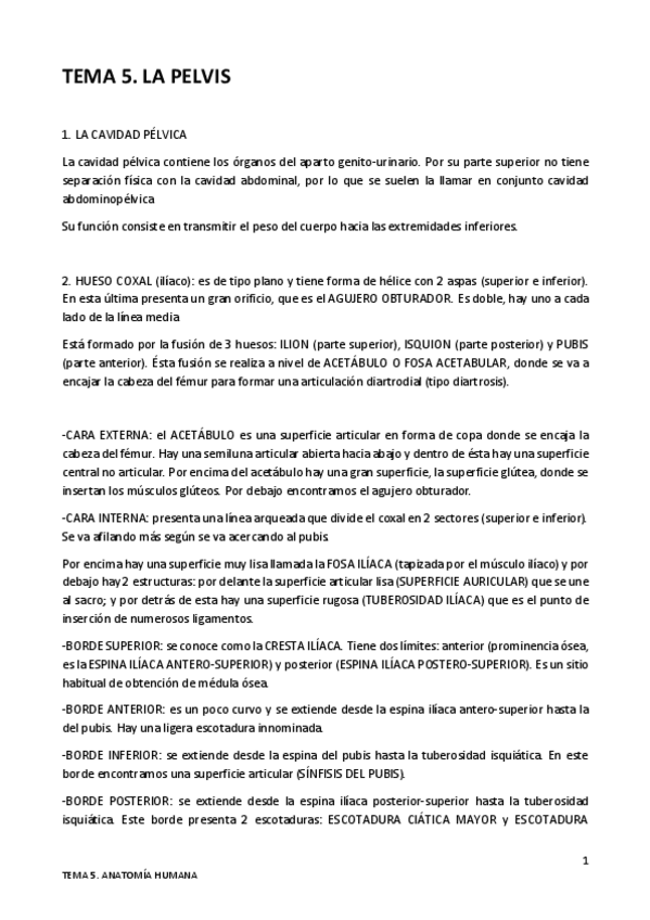 Miniatura del documento TEMA-5.pdf