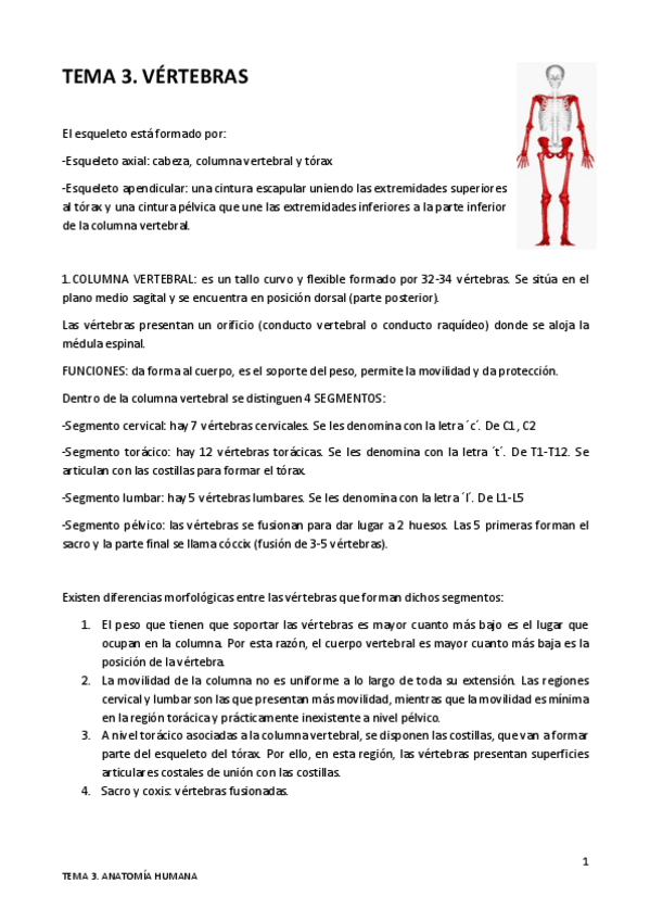 Miniatura del documento TEMA-3.pdf