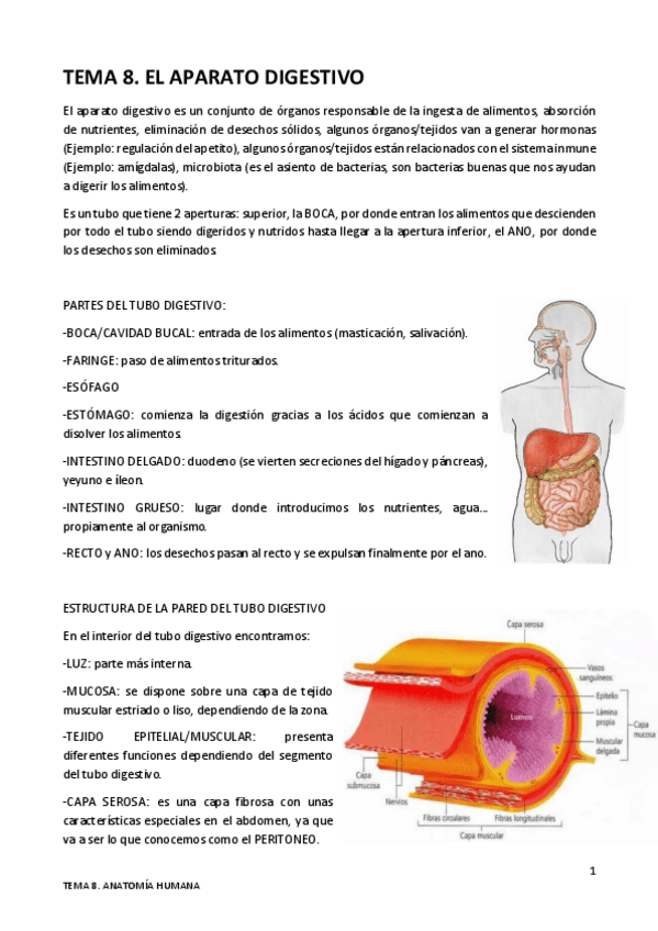 Miniatura del documento TEMA-8.pdf