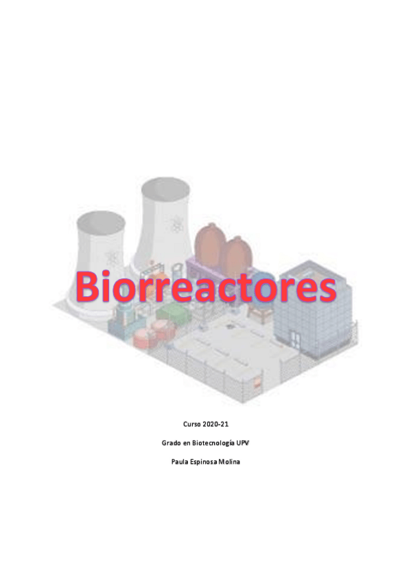 Miniatura del documento Teoria-BIORR-paula.pdf