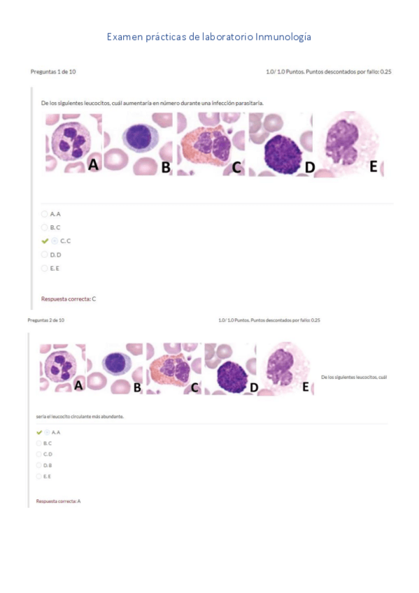 Miniatura del documento examen-PL.pdf