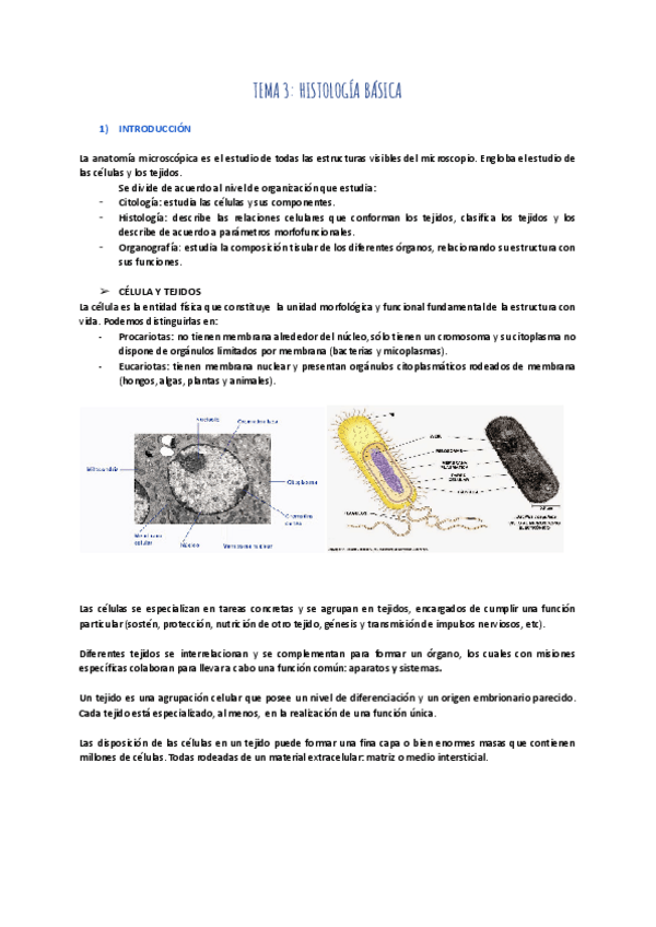 Miniatura del documento TEMA-3-HISTOLOGIA-BASICA.pdf