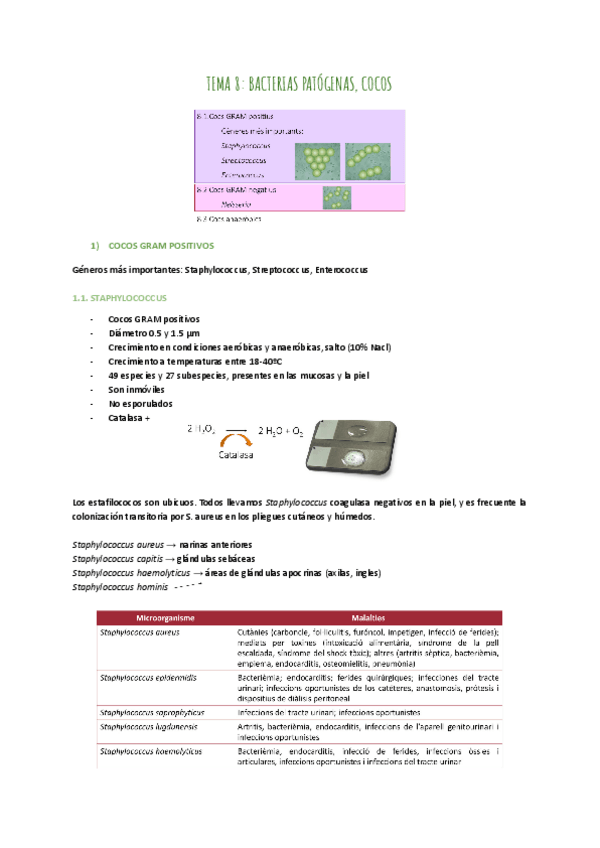 Miniatura del documento TEMA-8-COCOS.pdf
