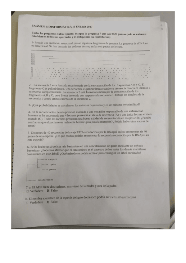 Miniatura del documento recopilacion-examenes.pdf