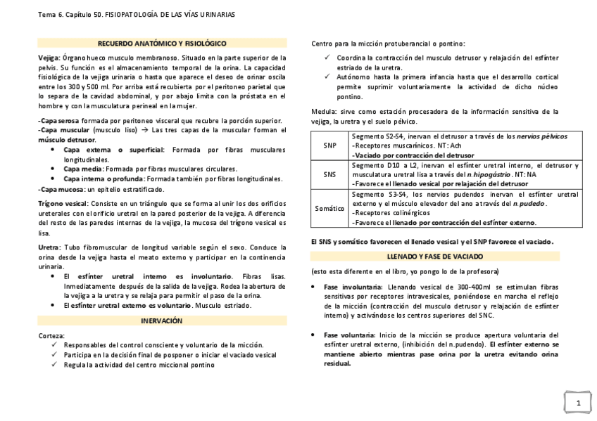 Miniatura del documento T.pdf