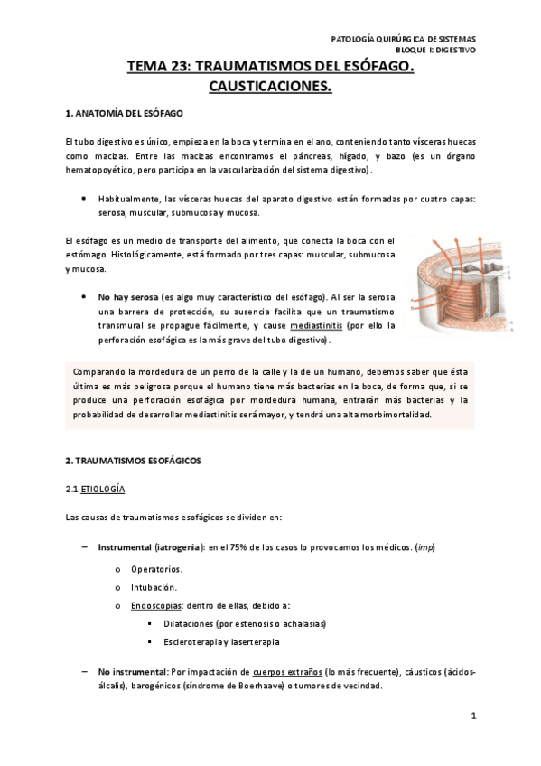 Miniatura del documento TEMA-23-TRAUMATISMOS-DEL-ESOFAGO.pdf