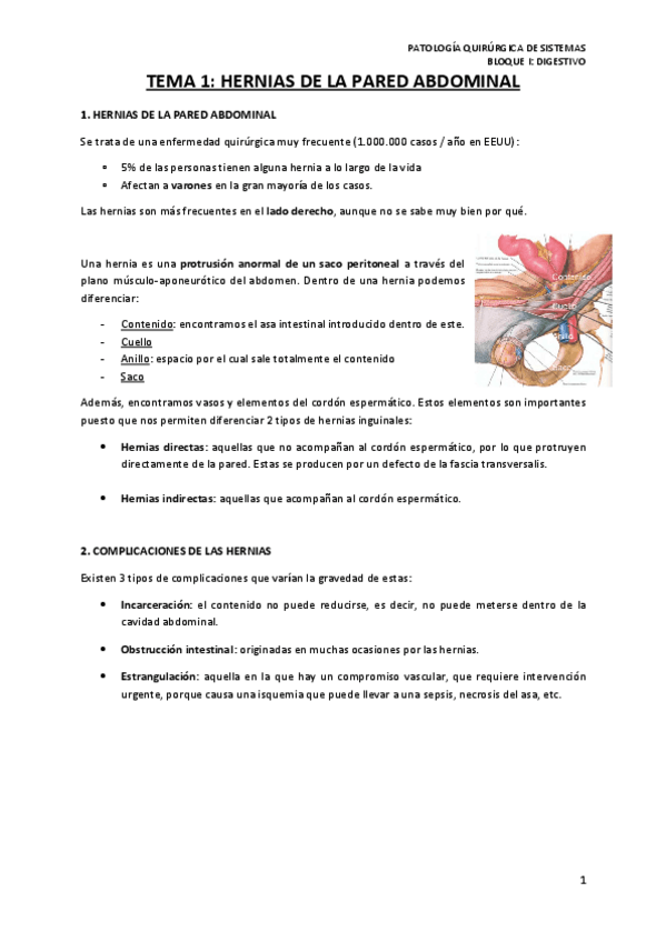 Miniatura del documento TEMA-1-HERNIAS-DE-LA-PARED-ABDOMINAL.pdf