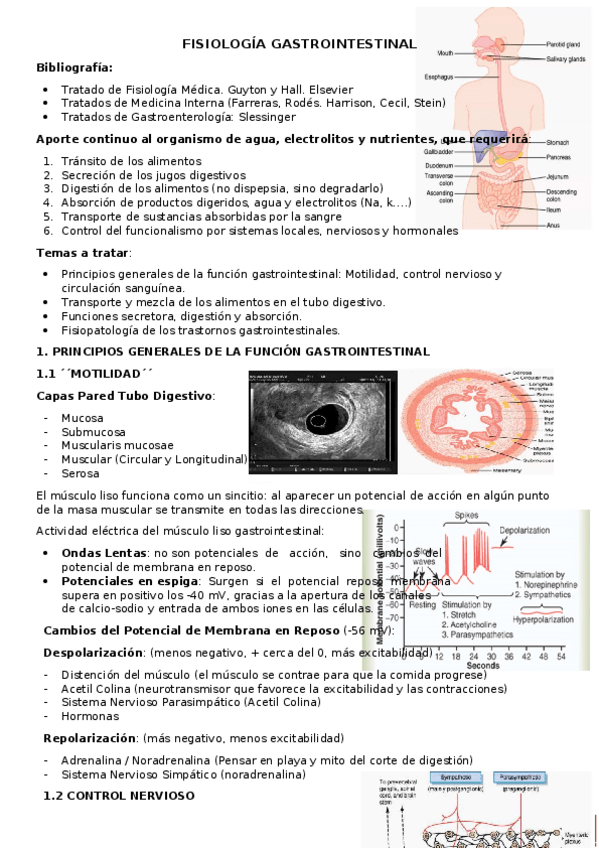 Miniatura del documento Digestivo.docx