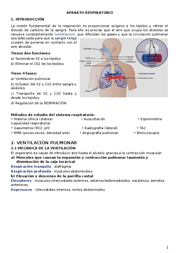 Miniatura del documento Fisio-Respiratorio.docx