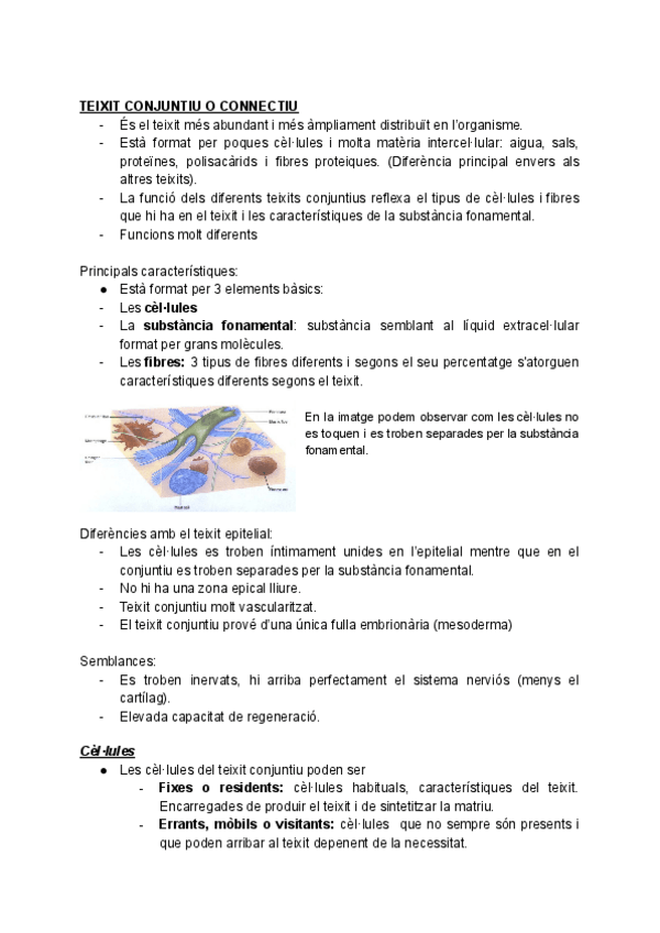 Miniatura del documento 2-MORFOLOGIA-I-ORGANITZACIO-ANIMAL-.pdf
