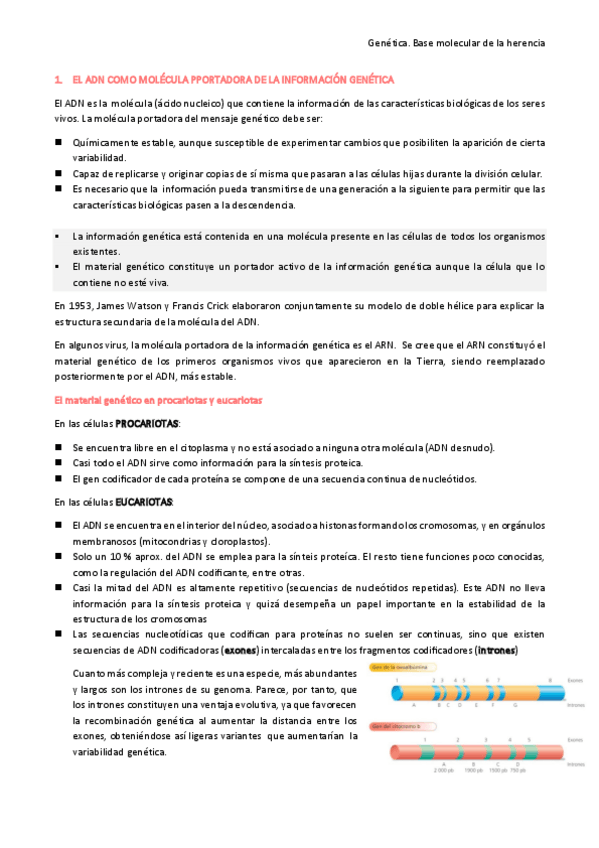 Miniatura del documento Genética: base molecular de la herencia
