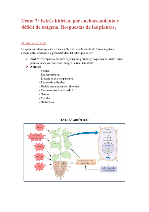 Miniatura del documento Tema-7-F.docx
