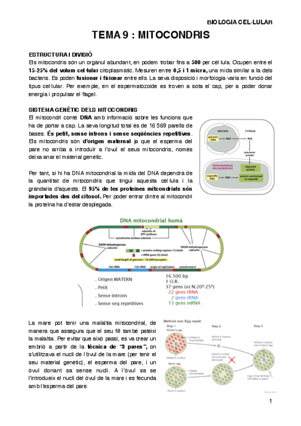 Miniatura del documento BIOCELT9.pdf