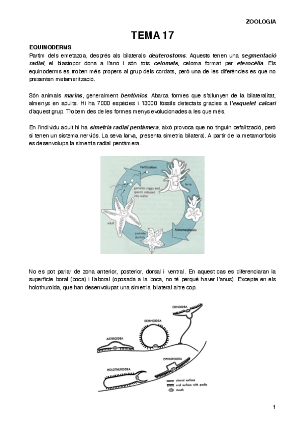 Miniatura del documento ZOOT17.pdf