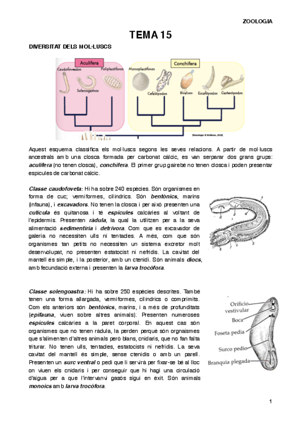 Miniatura del documento ZOOT15.pdf