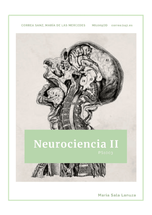 Miniatura del documento Temario-Neuro-II.pdf