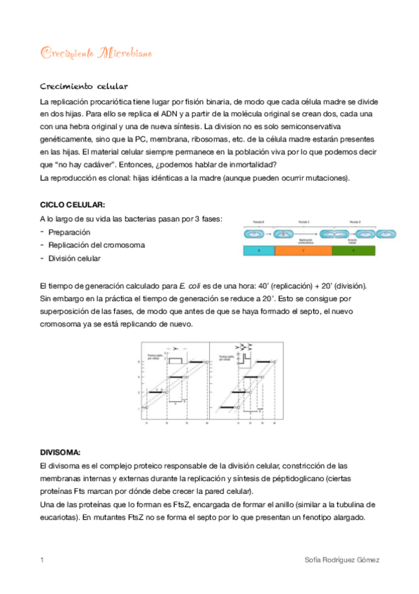 Miniatura del documento 13-Crecimiento-Microbiano.pdf
