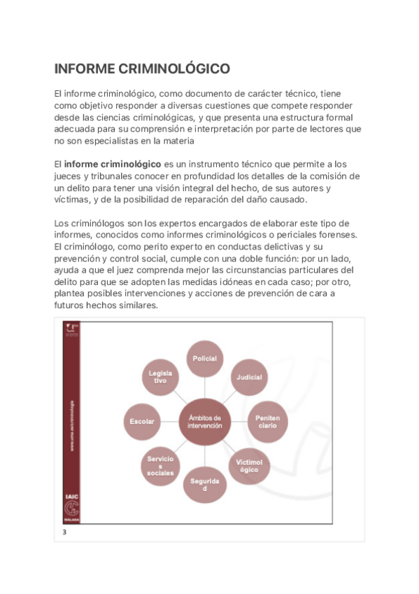 Miniatura del documento INFORME-CRIMINOLOGICO.pdf