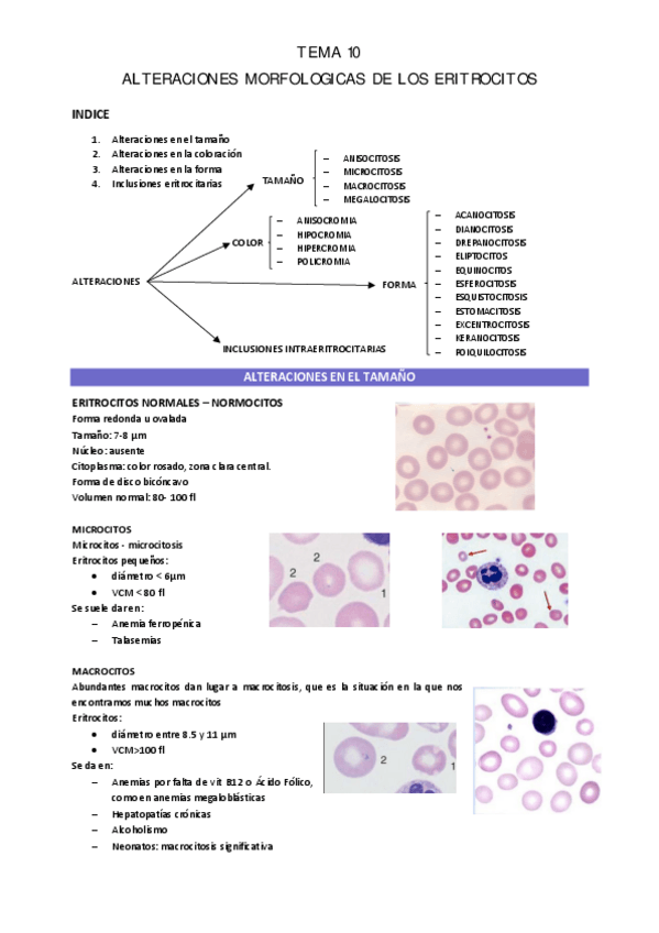 Miniatura del documento TEMA-10.pdf