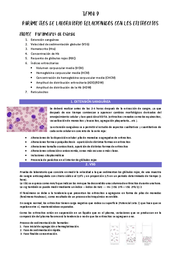 Miniatura del documento TEMA-9.pdf