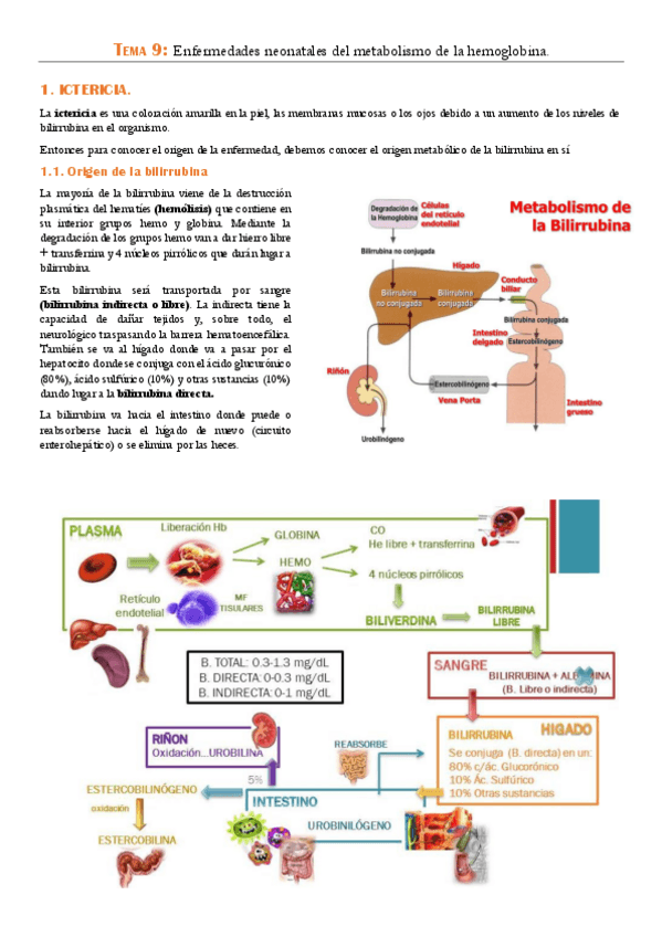 Miniatura del documento TEMA-9.pdf