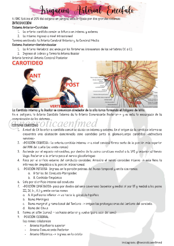Miniatura del documento N9-Irrigacion-Arterial-del-Encefalo-y-Drenaje-Venoso.pdf