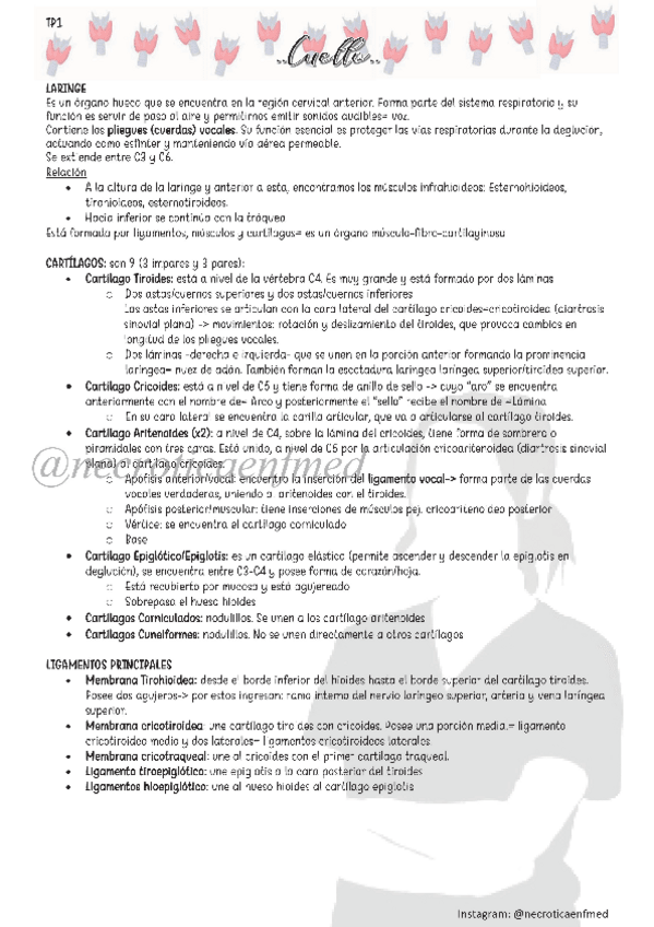 Miniatura del documento E1-Cuello-II.pdf