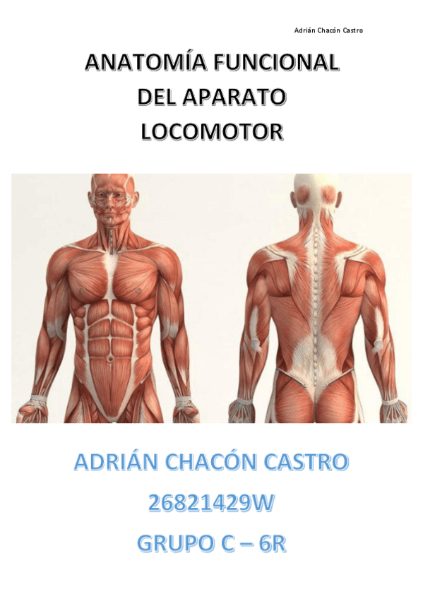 Miniatura del documento Dossier-Anatomia-Funcional-del-Aparato-Locomotor-PDF.pdf
