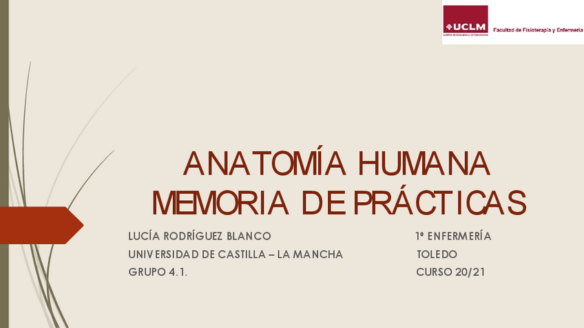 Miniatura del documento MEMORIA-DE-PRACTICAS.pdf