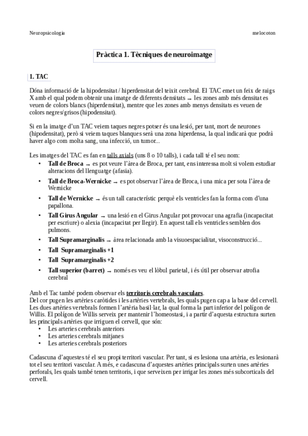 Miniatura del documento Practica-1.pdf