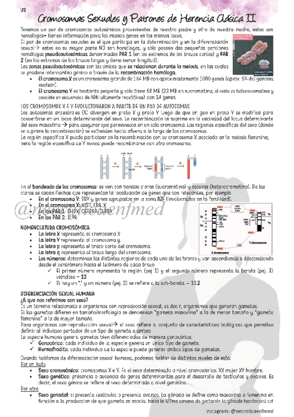 Miniatura del documento Herencia-Clasica-II-necroticaenfmed.pdf