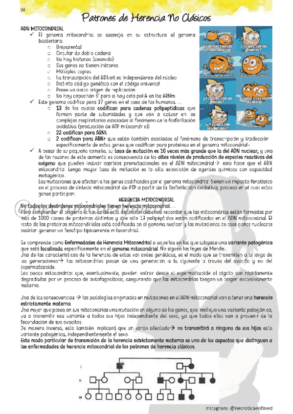 Miniatura del documento Herencia-No-Clasica-necroticaenfmed.pdf