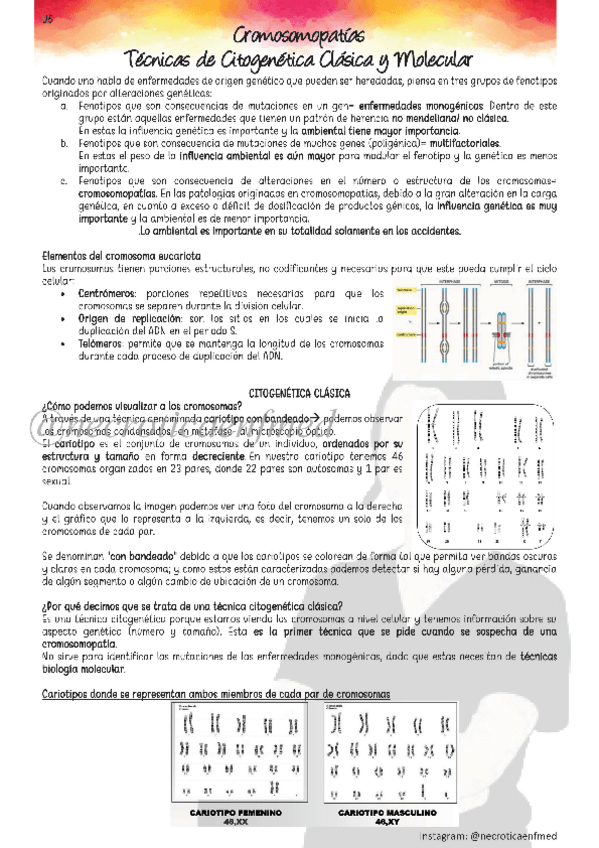 Miniatura del documento Tecnicas-de-Citogenetica-necroticaenfmed.pdf