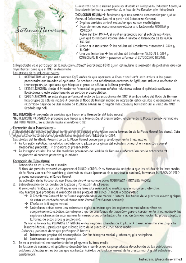 Miniatura del documento Nervioso.pdf