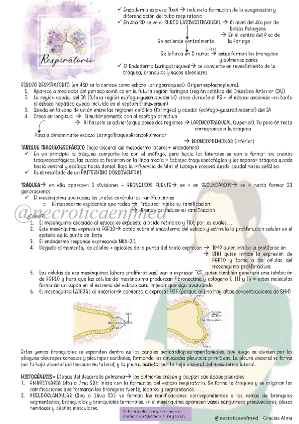 Miniatura del documento Respiratorio.pdf