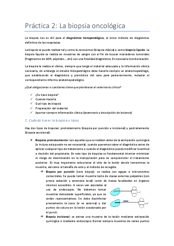Miniatura del documento Practica-2.pdf